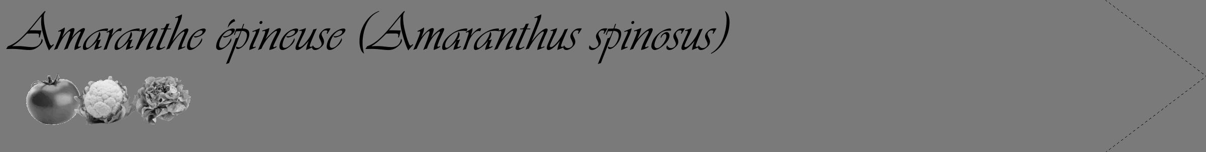 Étiquette de : Amaranthus spinosus - format c - style noire3_simple_simpleviv avec comestibilité simplifiée