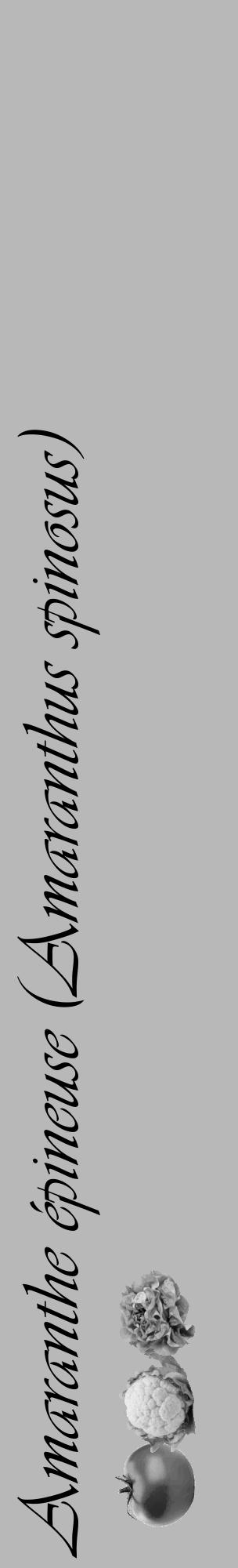 Étiquette de : Amaranthus spinosus - format c - style noire39_basique_basiqueviv avec comestibilité simplifiée - position verticale