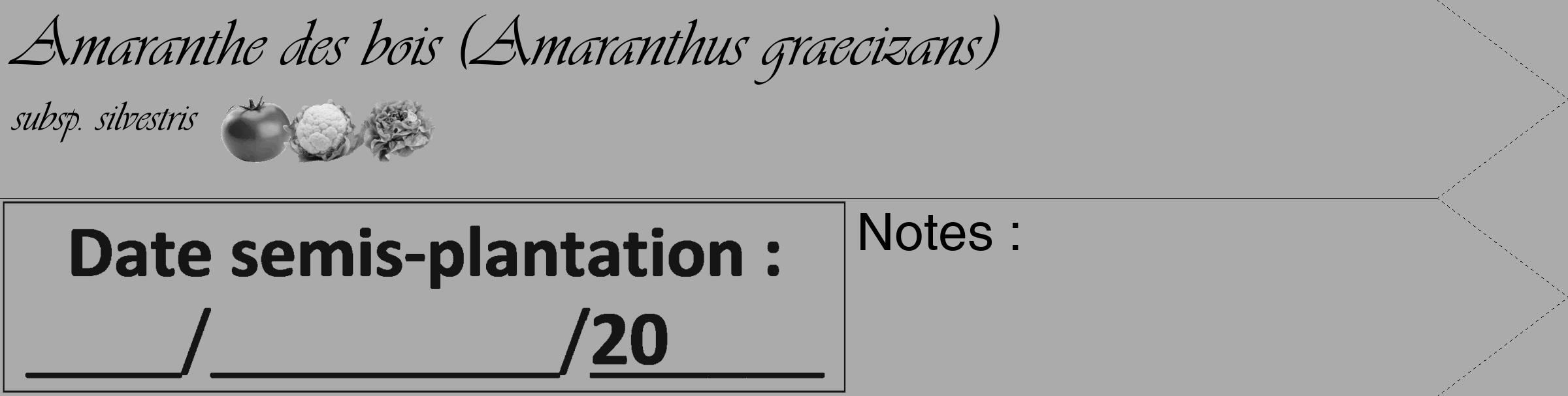 Étiquette de : Amaranthus graecizans subsp. silvestris - format c - style noire37simple_basique_basiqueviv avec comestibilité simplifiée