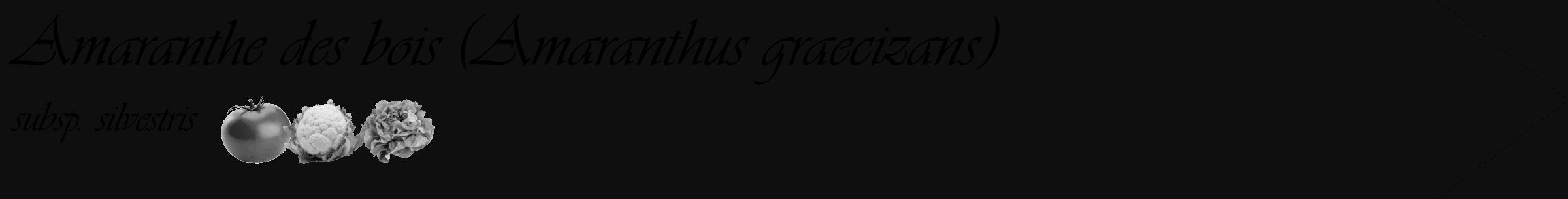 Étiquette de : Amaranthus graecizans subsp. silvestris - format c - style noire7_simple_simpleviv avec comestibilité simplifiée