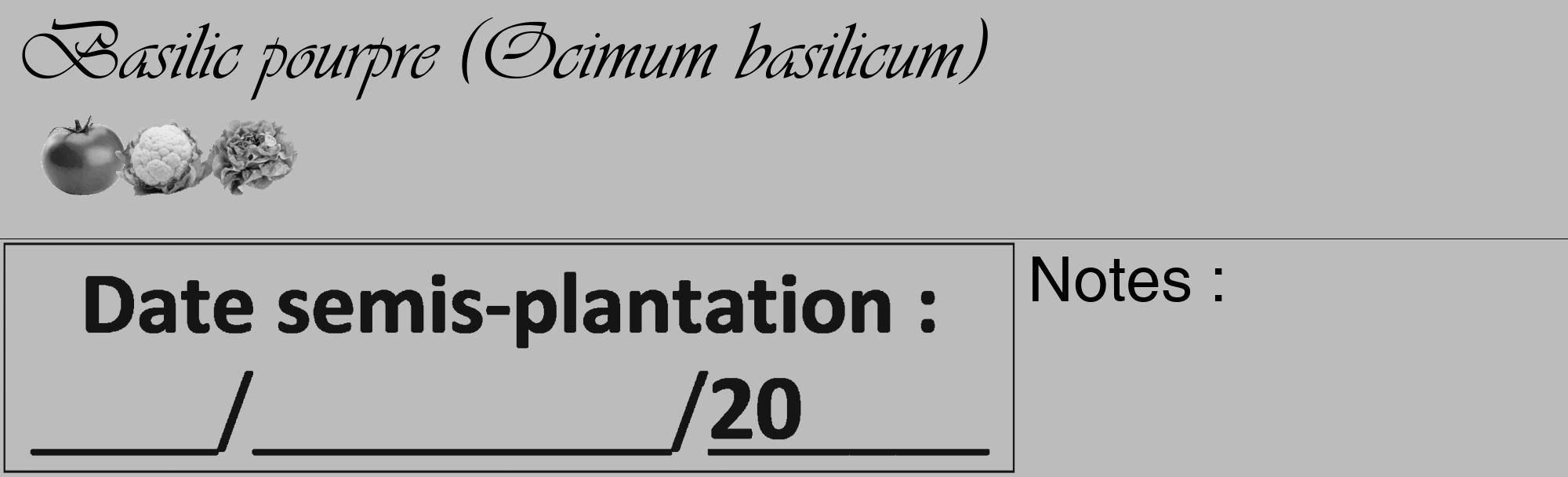 Étiquette de : Ocimum basilicum - format c - style noire1_basique_basiqueviv avec comestibilité simplifiée
