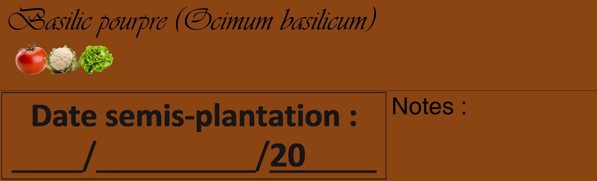 Étiquette de : Ocimum basilicum - format c - style noire30basique_basique_basiqueviv avec comestibilité simplifiée