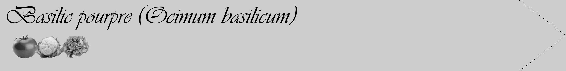 Étiquette de : Ocimum basilicum - format c - style noire41_simple_simpleviv avec comestibilité simplifiée