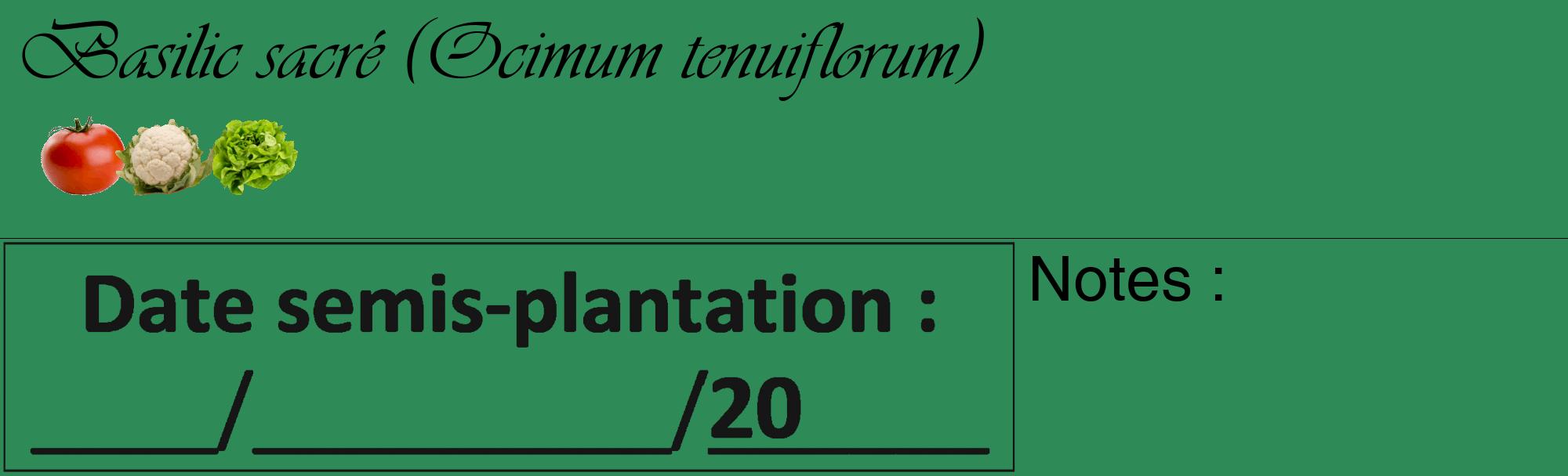 Étiquette de : Ocimum tenuiflorum - format c - style noire11_basique_basiqueviv avec comestibilité simplifiée