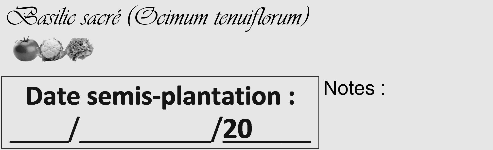 Étiquette de : Ocimum tenuiflorum - format c - style noire18_basique_basiqueviv avec comestibilité simplifiée