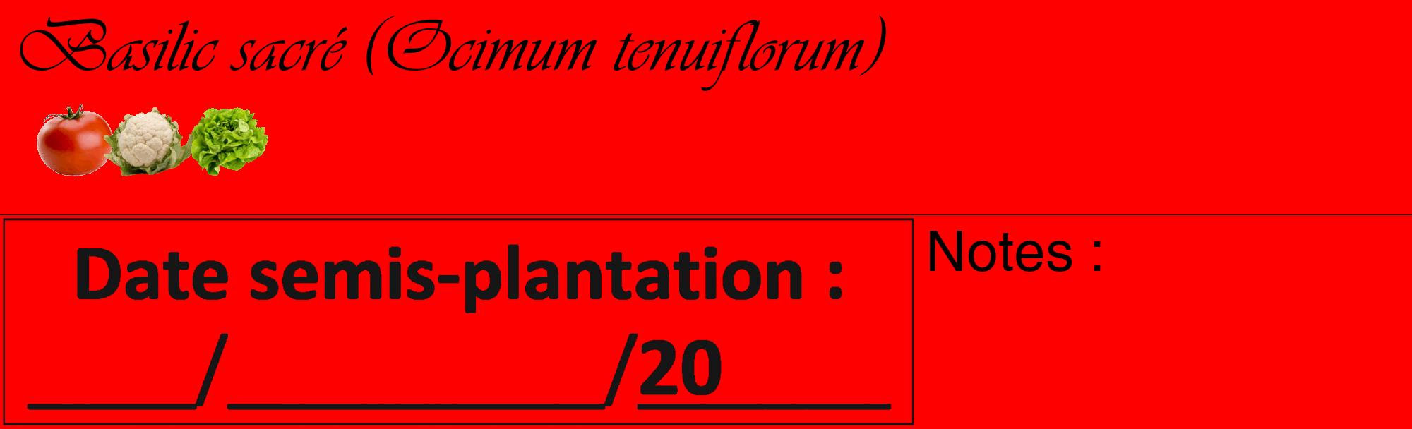 Étiquette de : Ocimum tenuiflorum - format c - style noire27_basique_basiqueviv avec comestibilité simplifiée