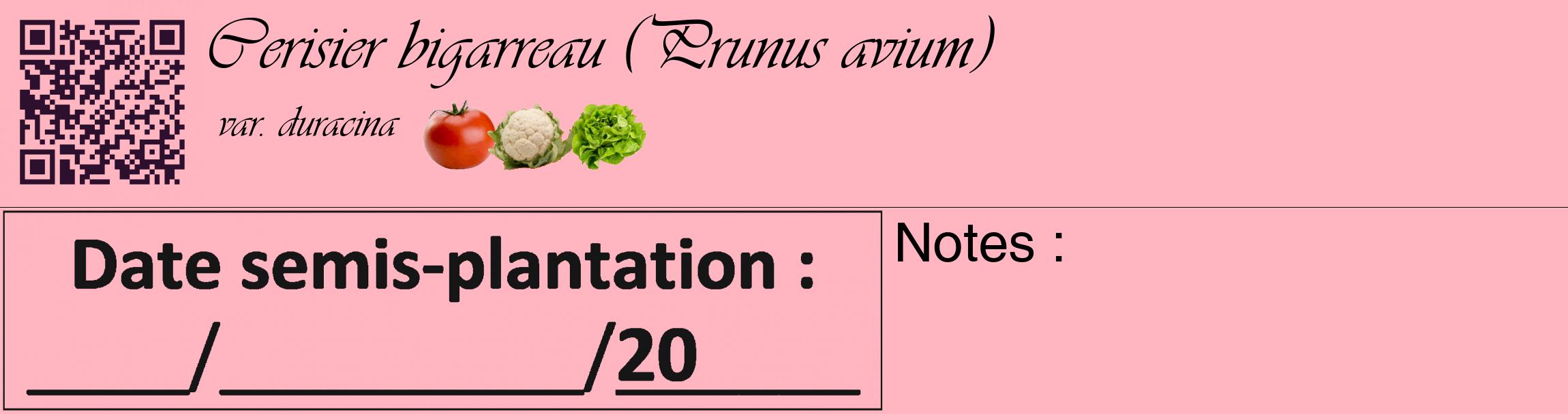 Étiquette de : Prunus avium var. duracina - format c - style noire41basique_basique_basiqueviv avec qrcode et comestibilité simplifiée