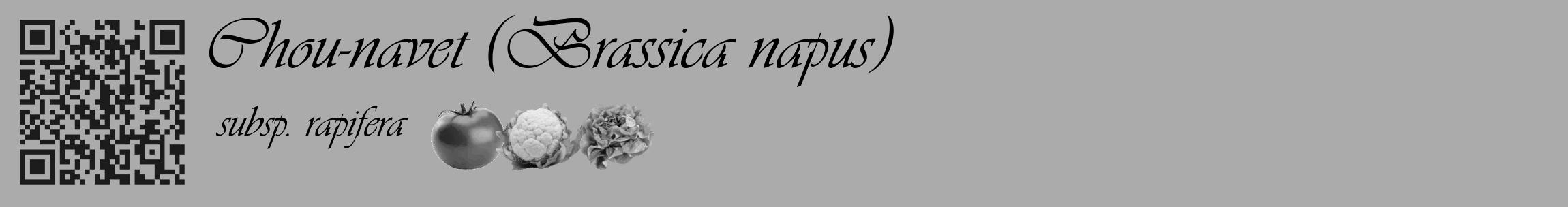 Étiquette de : Brassica napus subsp. rapifera - format c - style noire37_basique_basiqueviv avec qrcode et comestibilité simplifiée