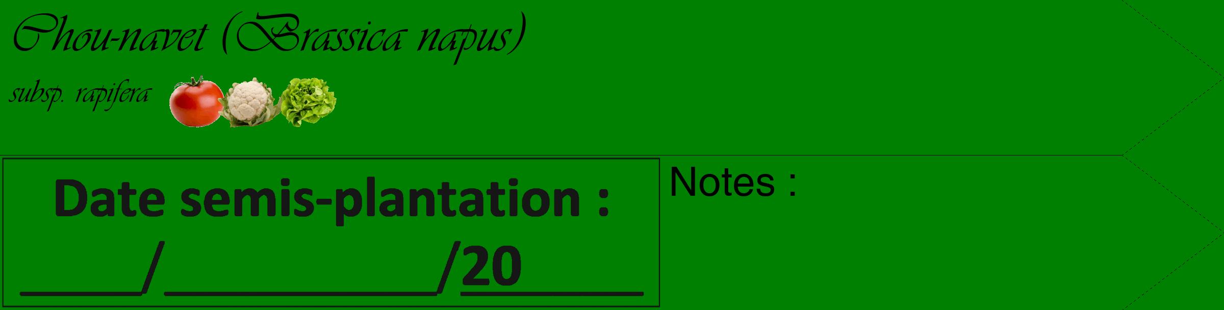 Étiquette de : Brassica napus subsp. rapifera - format c - style noire9_simple_simpleviv avec comestibilité simplifiée