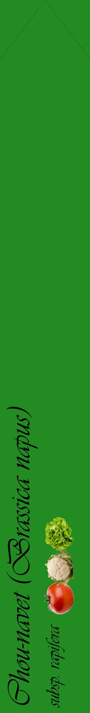 Étiquette de : Brassica napus subsp. rapifera - format c - style noire10_simpleviv avec comestibilité simplifiée