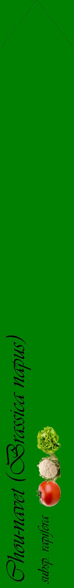 Étiquette de : Brassica napus subsp. rapifera - format c - style noire9_simpleviv avec comestibilité simplifiée