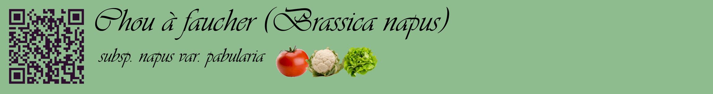 Étiquette de : Brassica napus subsp. napus var. pabularia - format c - style noire13basique_basique_basiqueviv avec qrcode et comestibilité simplifiée