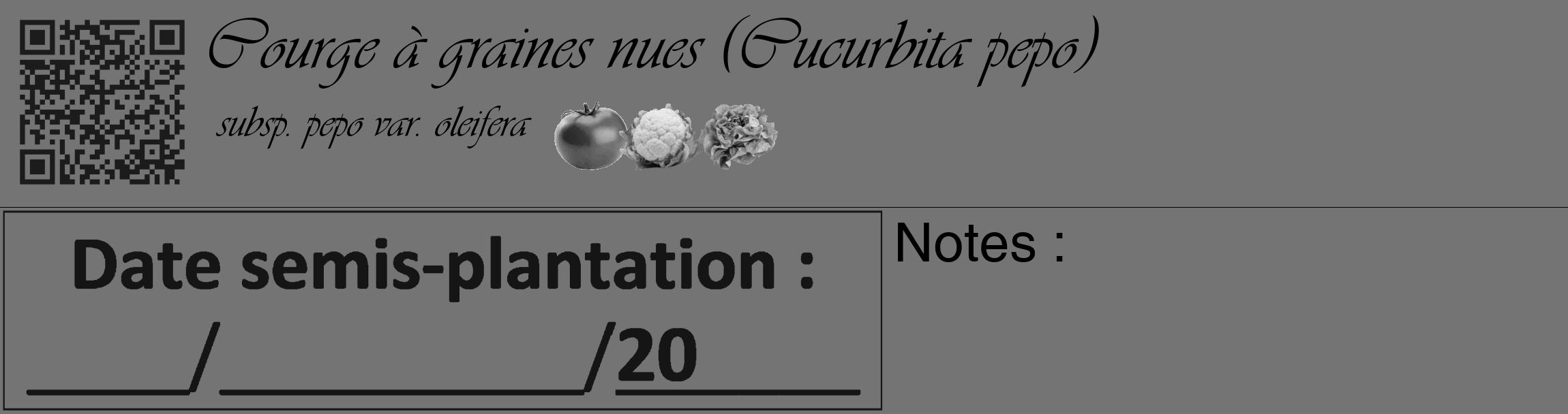 Étiquette de : Cucurbita pepo subsp. pepo var. oleifera - format c - style noire26_basique_basiqueviv avec qrcode et comestibilité simplifiée