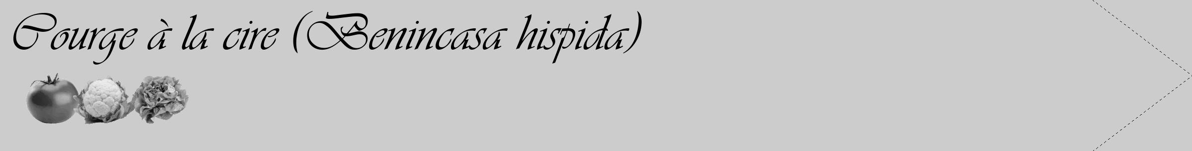 Étiquette de : Benincasa hispida - format c - style noire0_simple_simpleviv avec comestibilité simplifiée