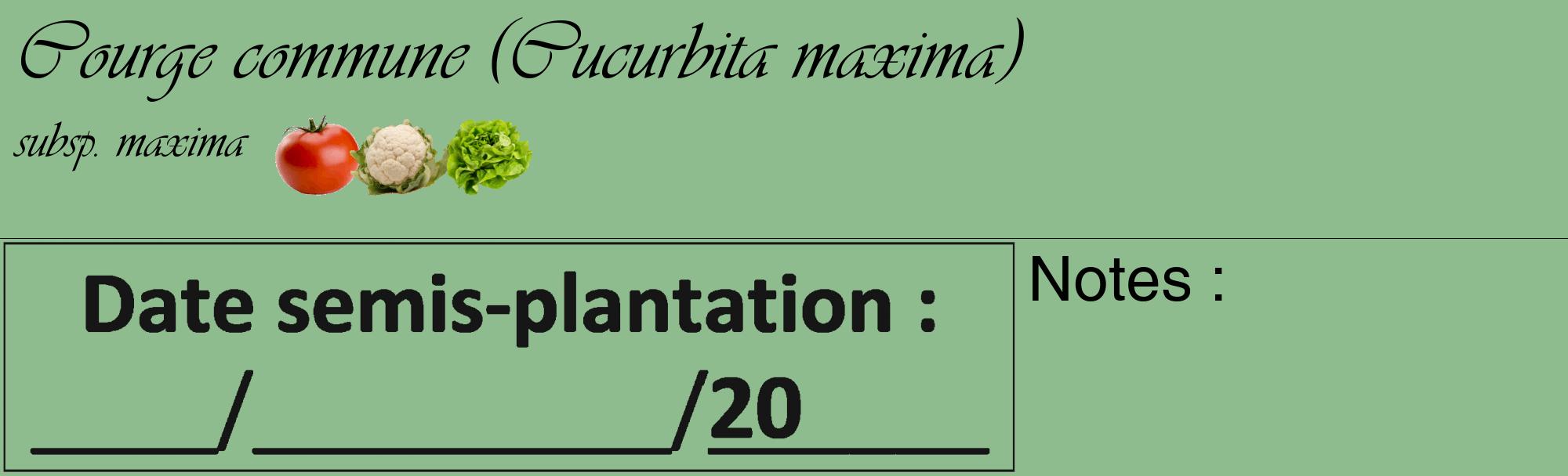 Étiquette de : Cucurbita maxima subsp. maxima - format c - style noire13_basique_basiqueviv avec comestibilité simplifiée