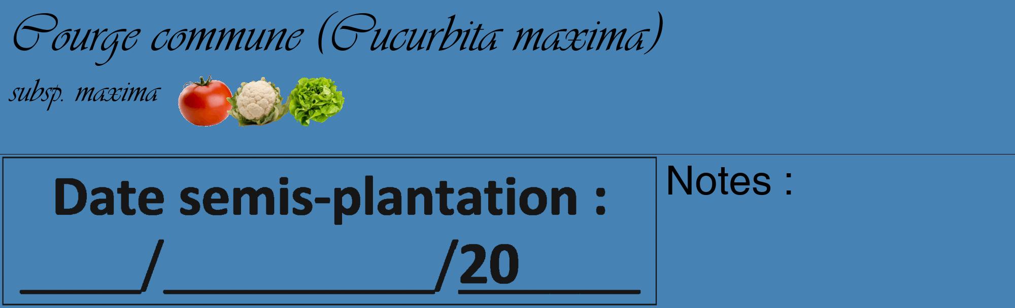 Étiquette de : Cucurbita maxima subsp. maxima - format c - style noire5_basique_basiqueviv avec comestibilité simplifiée