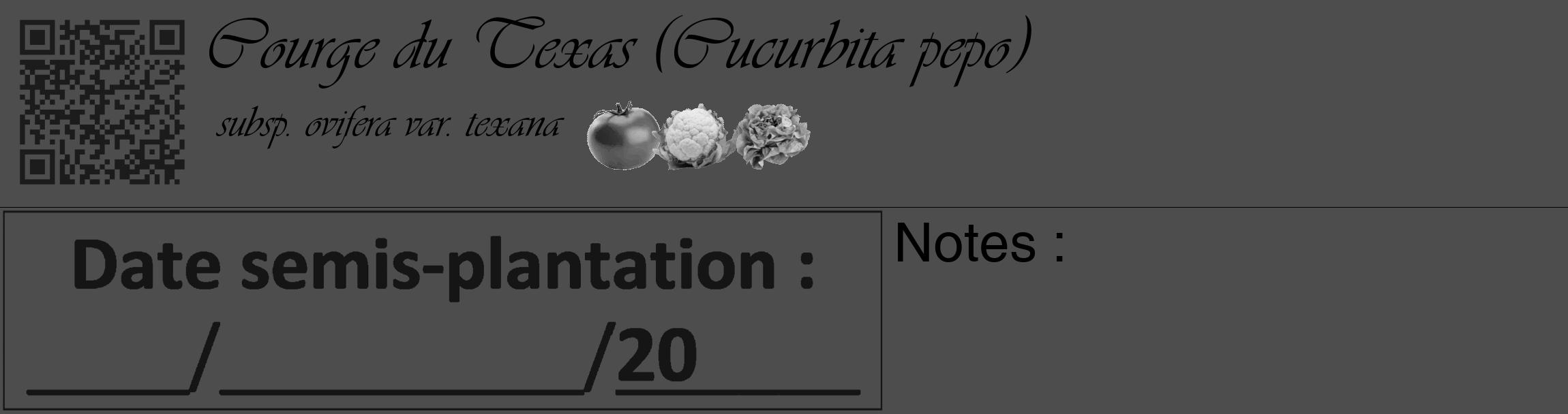 Étiquette de : Cucurbita pepo subsp. ovifera var. texana - format c - style noire28basique_basique_basiqueviv avec qrcode et comestibilité simplifiée