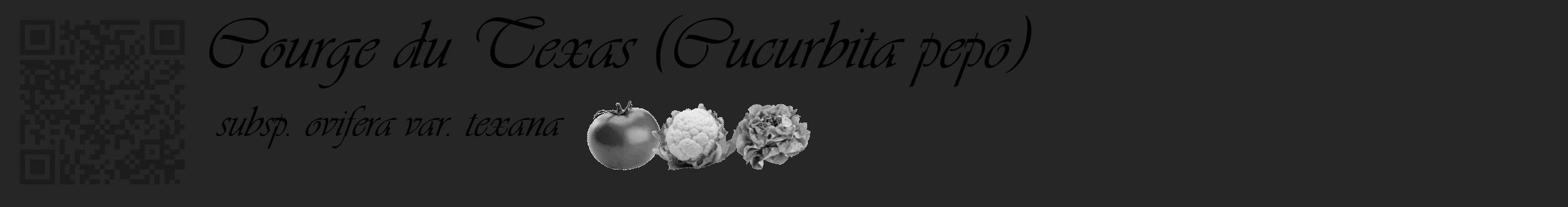 Étiquette de : Cucurbita pepo subsp. ovifera var. texana - format c - style noire29_basique_basiqueviv avec qrcode et comestibilité simplifiée