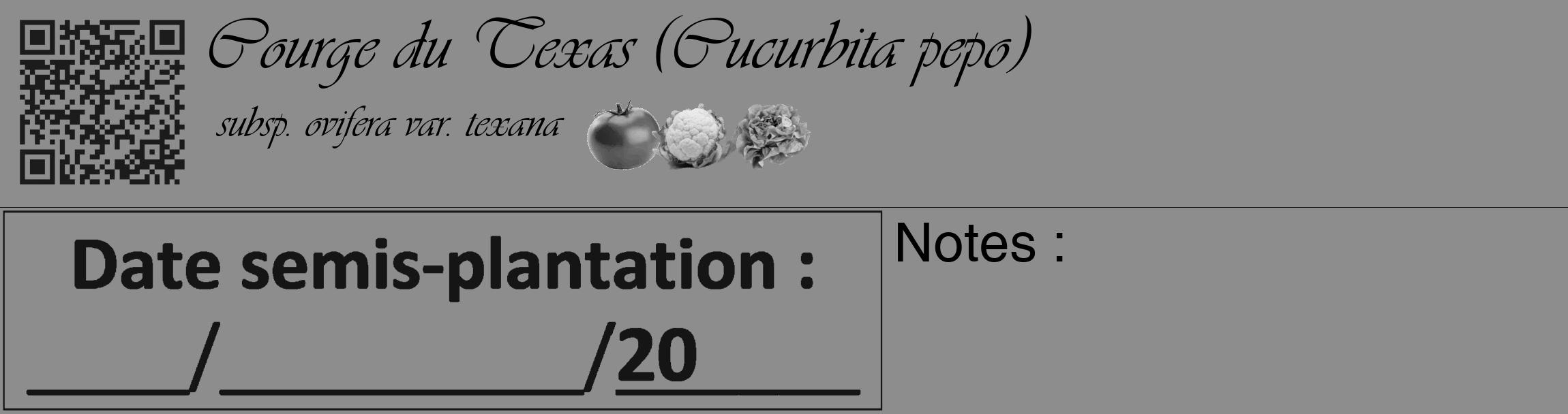 Étiquette de : Cucurbita pepo subsp. ovifera var. texana - format c - style noire2_basique_basiqueviv avec qrcode et comestibilité simplifiée