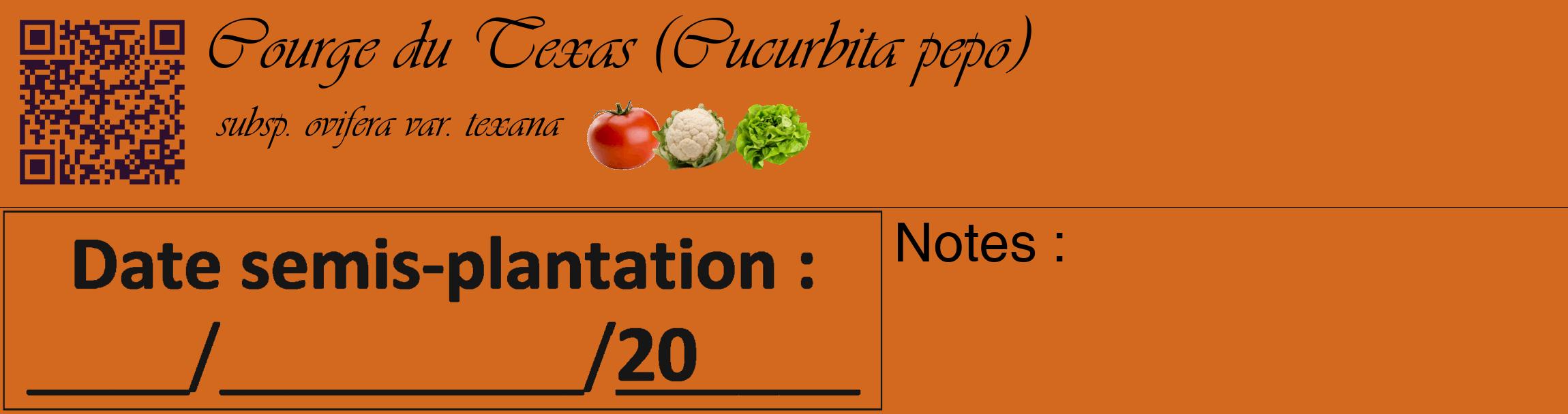 Étiquette de : Cucurbita pepo subsp. ovifera var. texana - format c - style noire31_basique_basiqueviv avec qrcode et comestibilité simplifiée