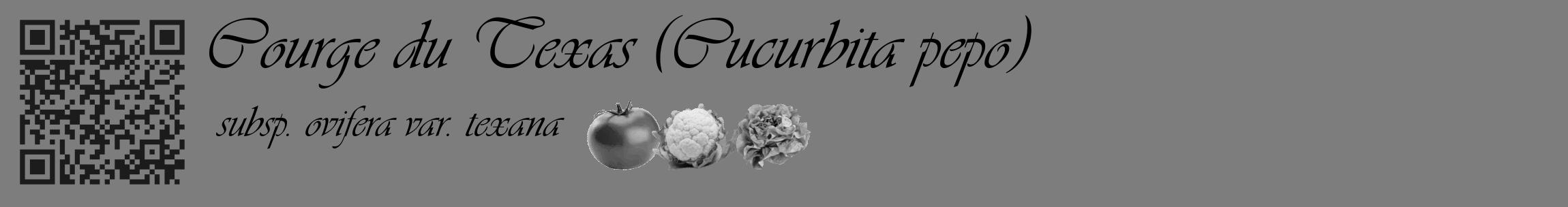 Étiquette de : Cucurbita pepo subsp. ovifera var. texana - format c - style noire35_basique_basiqueviv avec qrcode et comestibilité simplifiée