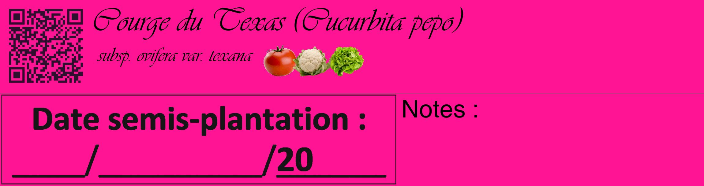 Étiquette de : Cucurbita pepo subsp. ovifera var. texana - format c - style noire43_basique_basiqueviv avec qrcode et comestibilité simplifiée