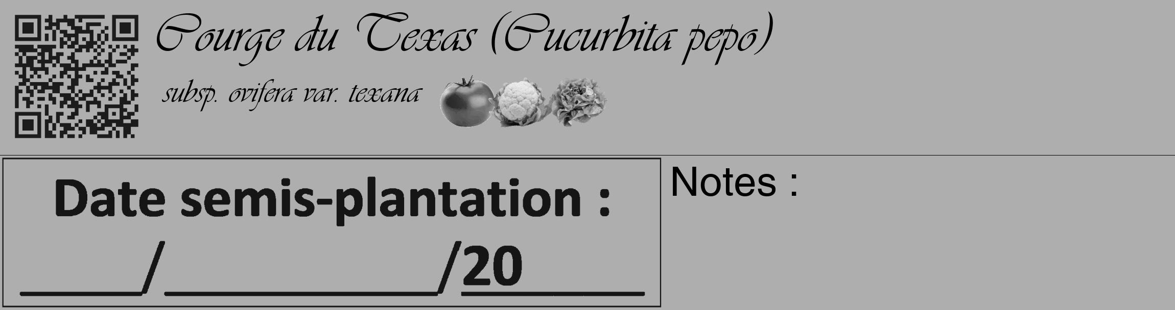 Étiquette de : Cucurbita pepo subsp. ovifera var. texana - format c - style noire53_basique_basiqueviv avec qrcode et comestibilité simplifiée
