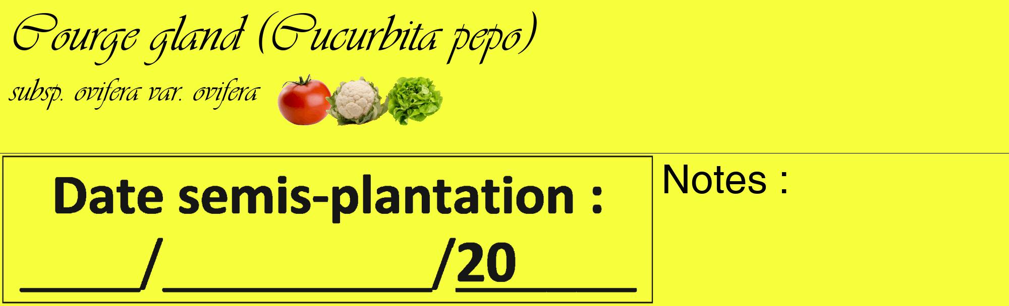Étiquette de : Cucurbita pepo subsp. ovifera var. ovifera - format c - style noire18basique_basique_basiqueviv avec comestibilité simplifiée