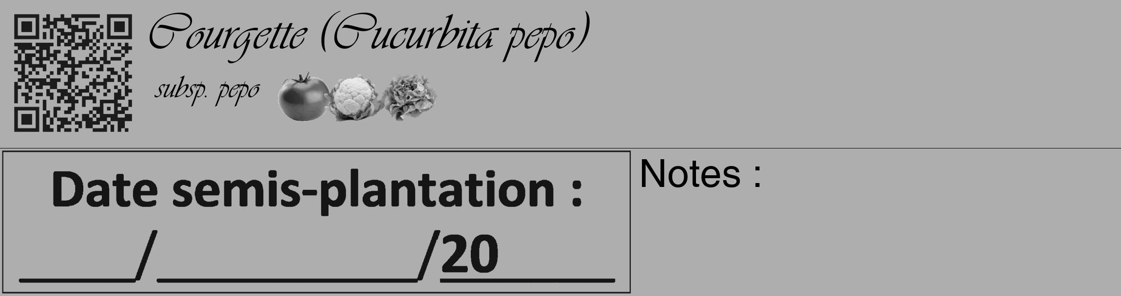 Étiquette de : Cucurbita pepo subsp. pepo - format c - style noire53_basique_basiqueviv avec qrcode et comestibilité simplifiée