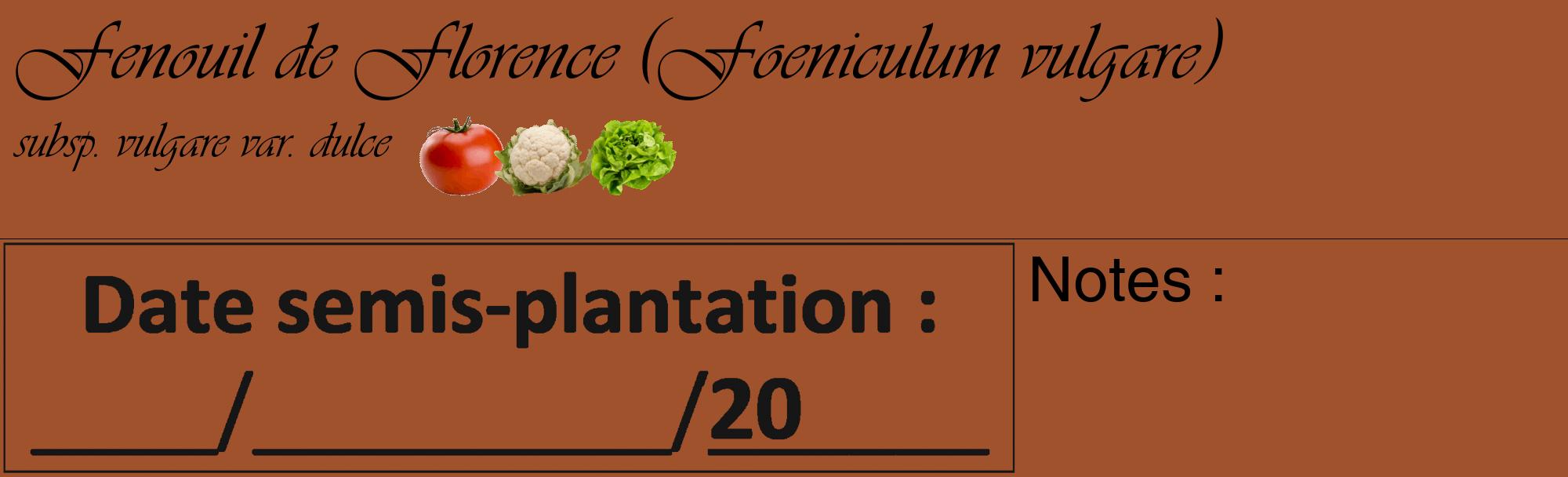 Étiquette de : Foeniculum vulgare subsp. vulgare var. dulce - format c - style noire32_basique_basiqueviv avec comestibilité simplifiée