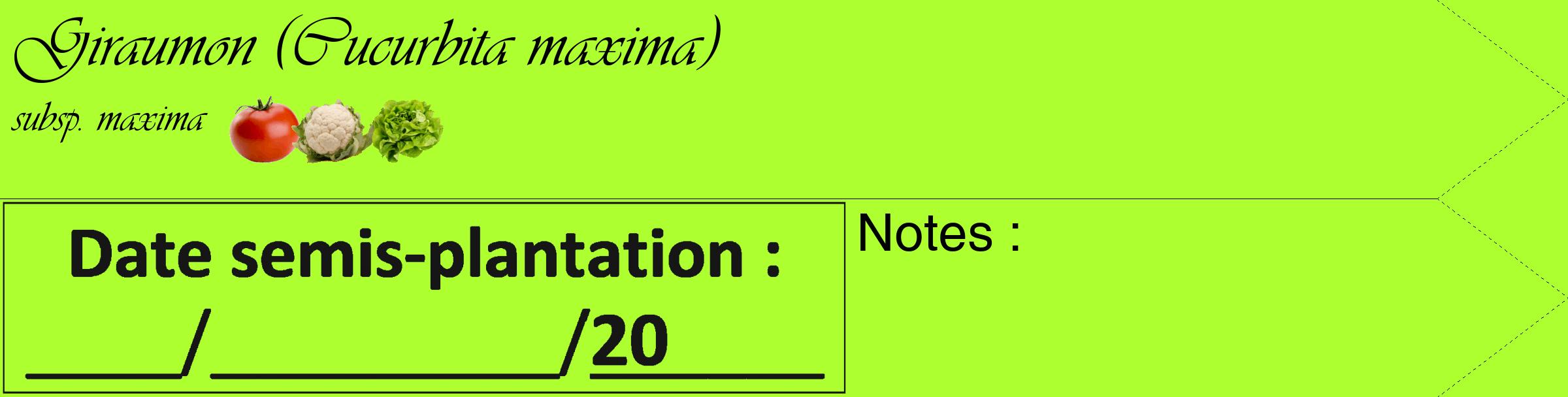 Étiquette de : Cucurbita maxima subsp. maxima - format c - style noire17_simple_simpleviv avec comestibilité simplifiée