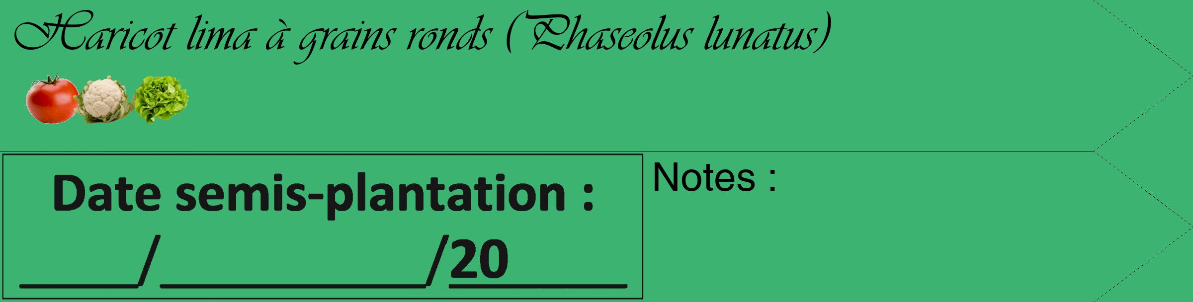 Étiquette de : Phaseolus lunatus - format c - style noire12_simple_simpleviv avec comestibilité simplifiée