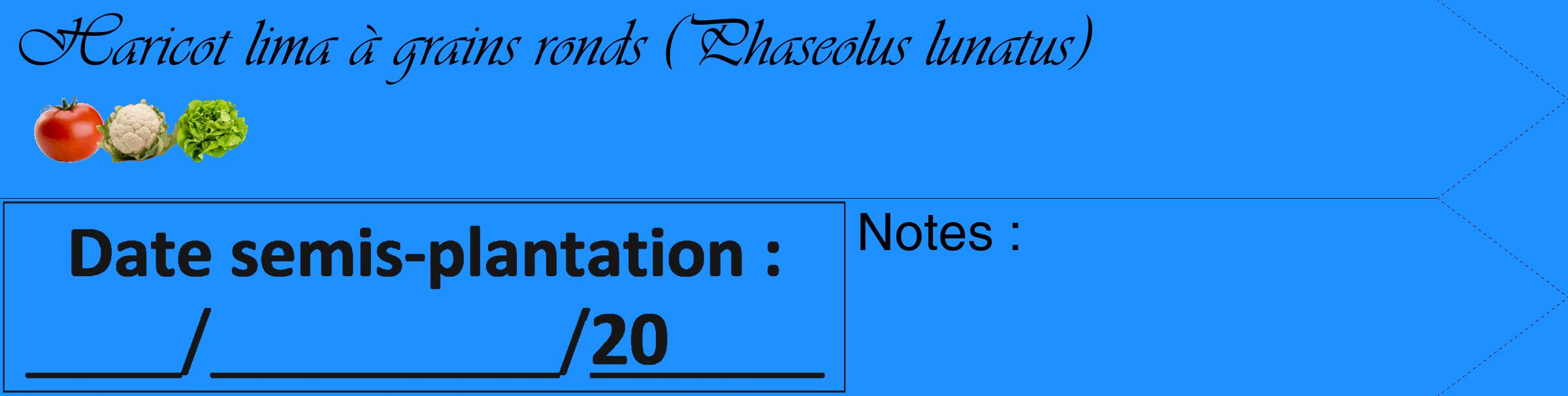 Étiquette de : Phaseolus lunatus - format c - style noire3_simple_simpleviv avec comestibilité simplifiée