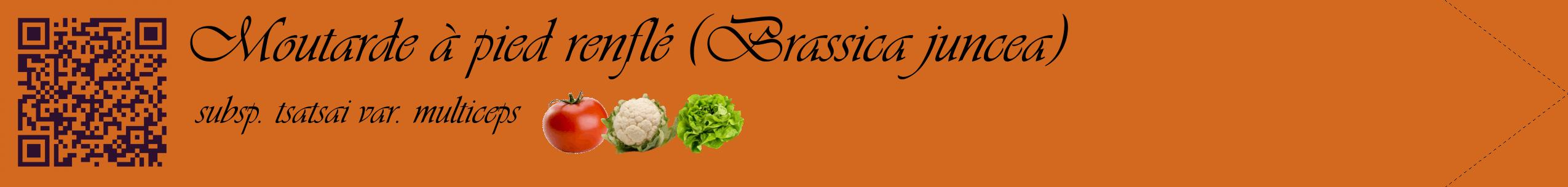 Étiquette de : Brassica juncea subsp. tsatsai var. multiceps - format c - style noire31simple_basique_basiqueviv avec qrcode et comestibilité simplifiée