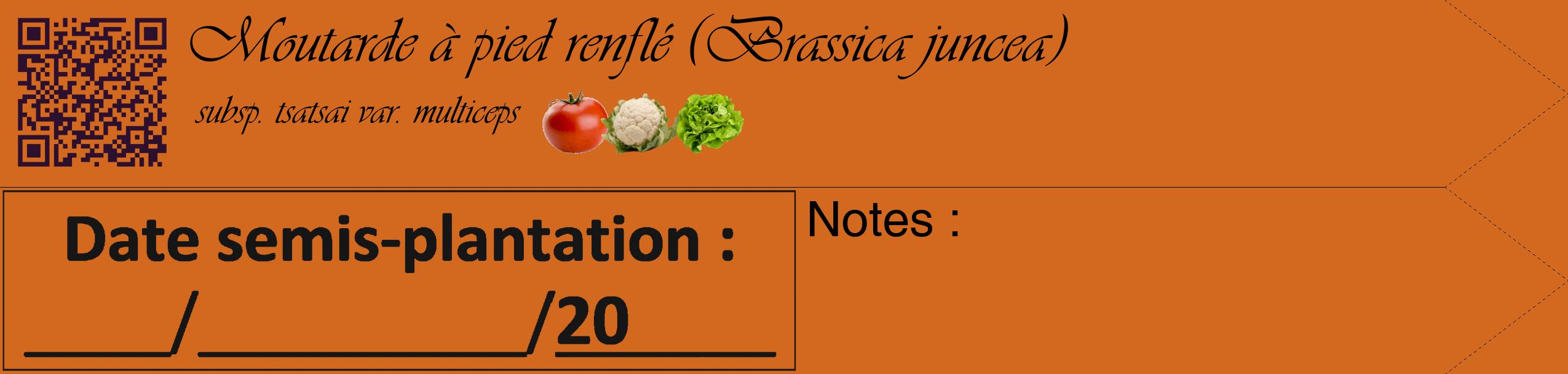 Étiquette de : Brassica juncea subsp. tsatsai var. multiceps - format c - style noire31simple_basique_basiqueviv avec qrcode et comestibilité simplifiée