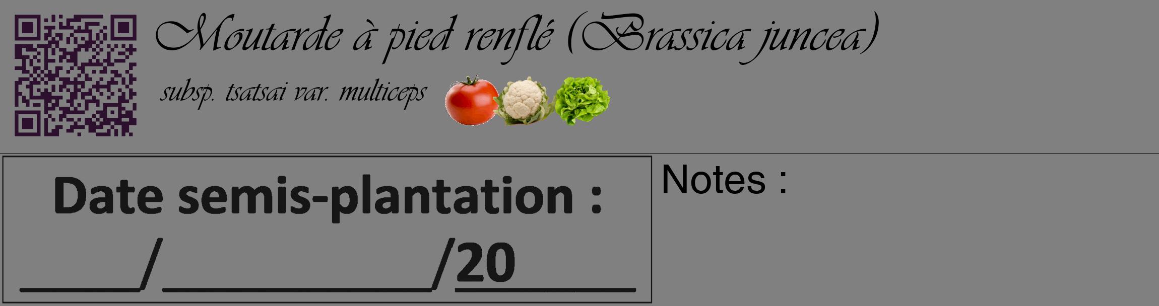 Étiquette de : Brassica juncea subsp. tsatsai var. multiceps - format c - style noire57_basique_basiqueviv avec qrcode et comestibilité simplifiée