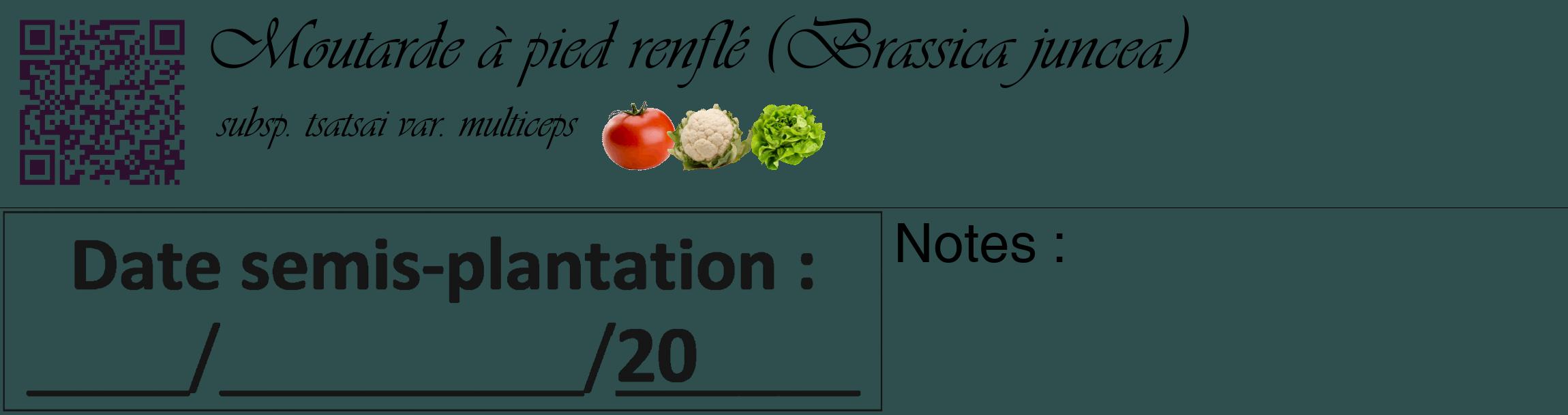 Étiquette de : Brassica juncea subsp. tsatsai var. multiceps - format c - style noire58_basique_basiqueviv avec qrcode et comestibilité simplifiée
