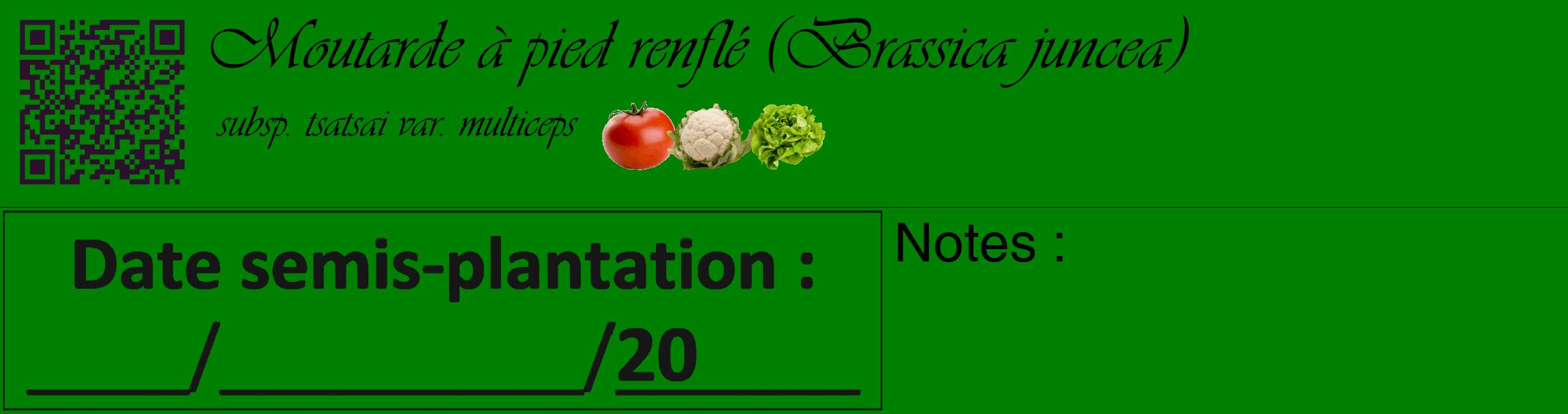 Étiquette de : Brassica juncea subsp. tsatsai var. multiceps - format c - style noire9_basique_basiqueviv avec qrcode et comestibilité simplifiée