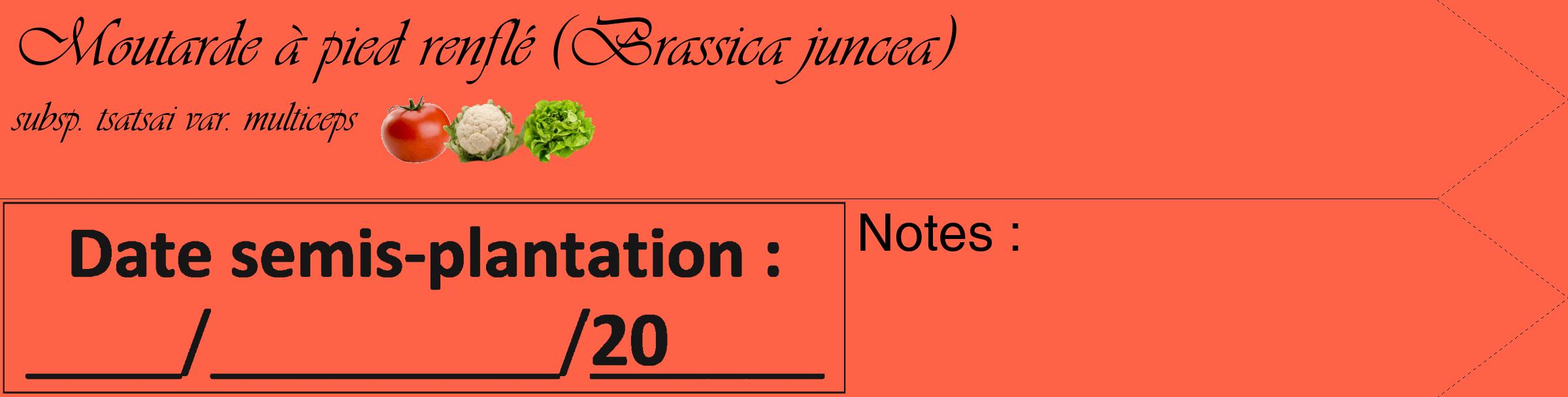 Étiquette de : Brassica juncea subsp. tsatsai var. multiceps - format c - style noire25_simple_simpleviv avec comestibilité simplifiée