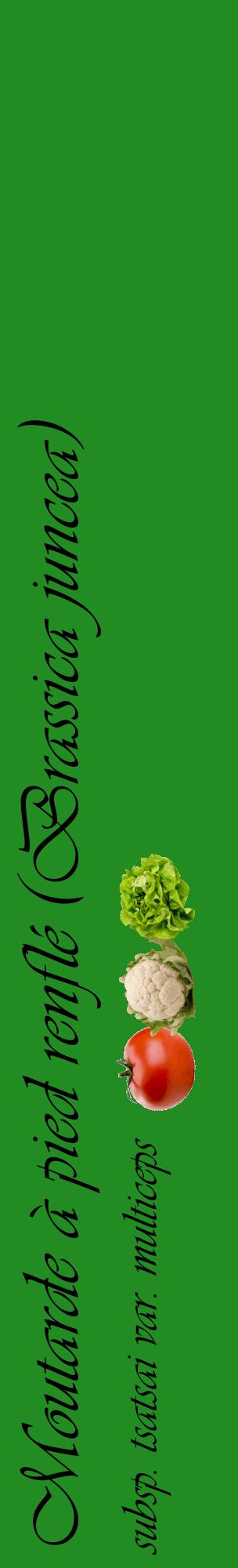 Étiquette de : Brassica juncea subsp. tsatsai var. multiceps - format c - style noire10_basiqueviv avec comestibilité simplifiée