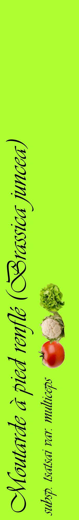 Étiquette de : Brassica juncea subsp. tsatsai var. multiceps - format c - style noire17_basiqueviv avec comestibilité simplifiée