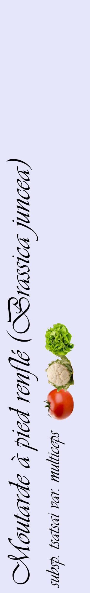 Étiquette de : Brassica juncea subsp. tsatsai var. multiceps - format c - style noire55_basiqueviv avec comestibilité simplifiée