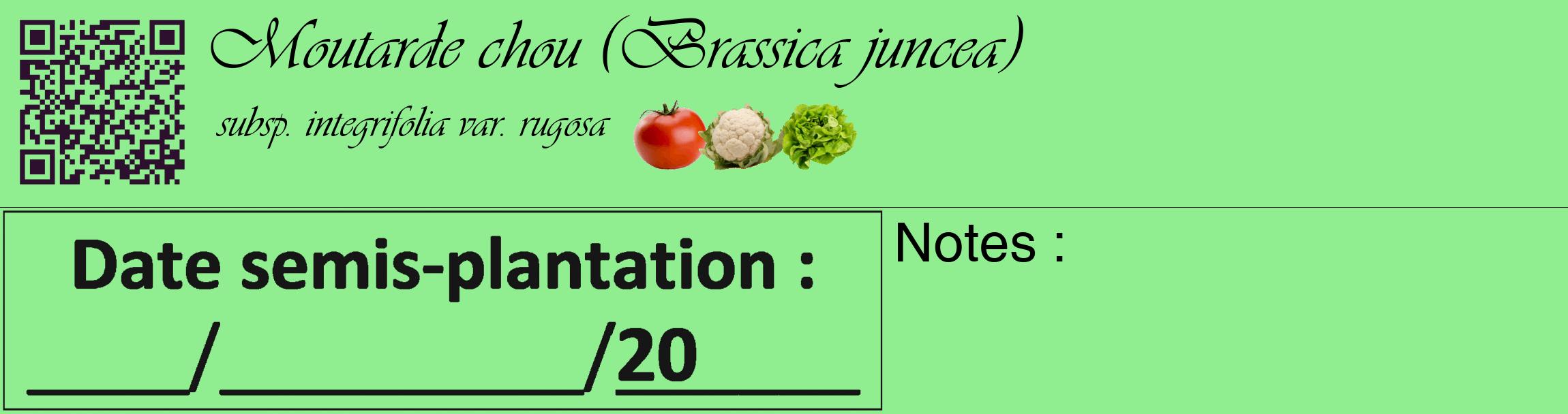 Étiquette de : Brassica juncea subsp. integrifolia var. rugosa - format c - style noire15_basique_basiqueviv avec qrcode et comestibilité simplifiée