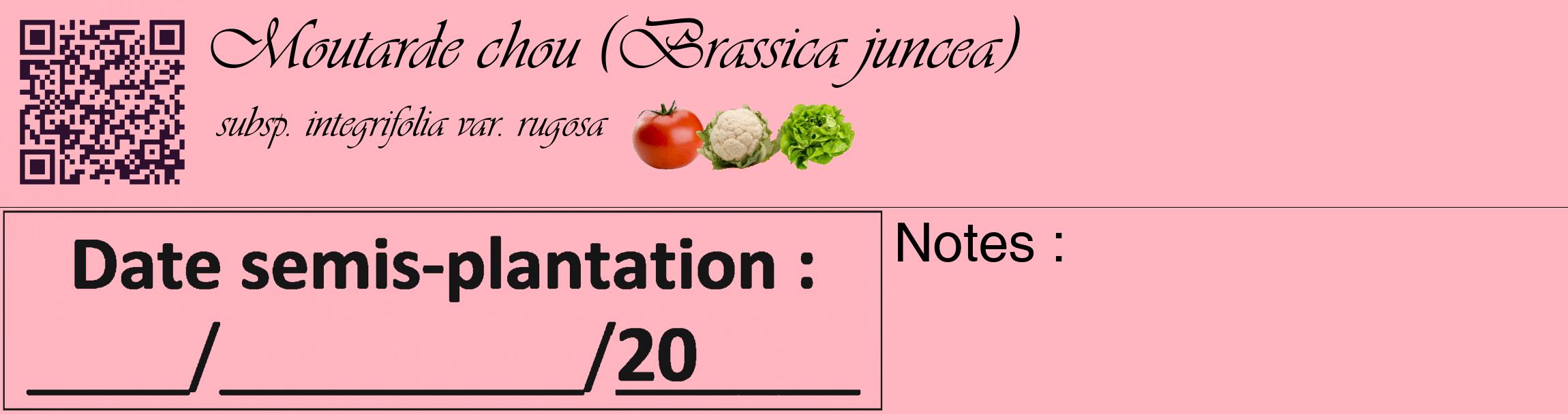 Étiquette de : Brassica juncea subsp. integrifolia var. rugosa - format c - style noire41basique_basique_basiqueviv avec qrcode et comestibilité simplifiée