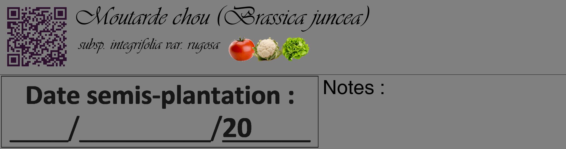 Étiquette de : Brassica juncea subsp. integrifolia var. rugosa - format c - style noire57_basique_basiqueviv avec qrcode et comestibilité simplifiée
