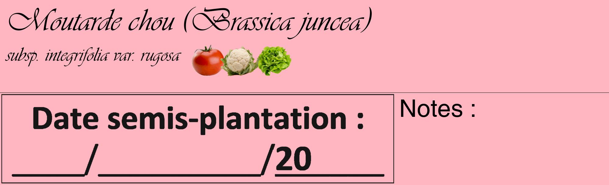 Étiquette de : Brassica juncea subsp. integrifolia var. rugosa - format c - style noire41basique_basique_basiqueviv avec comestibilité simplifiée