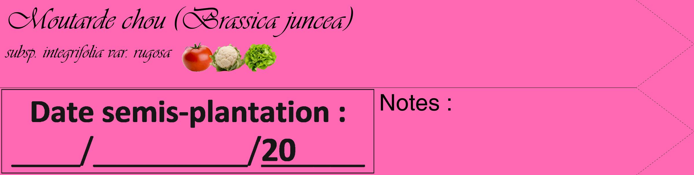 Étiquette de : Brassica juncea subsp. integrifolia var. rugosa - format c - style noire42_simple_simpleviv avec comestibilité simplifiée