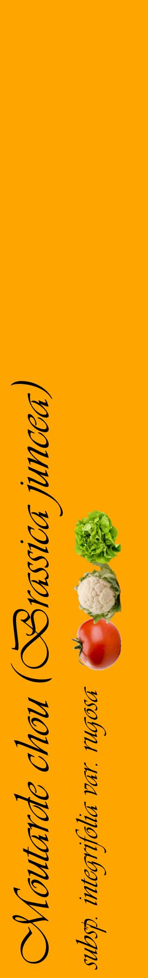 Étiquette de : Brassica juncea subsp. integrifolia var. rugosa - format c - style noire22_basiqueviv avec comestibilité simplifiée