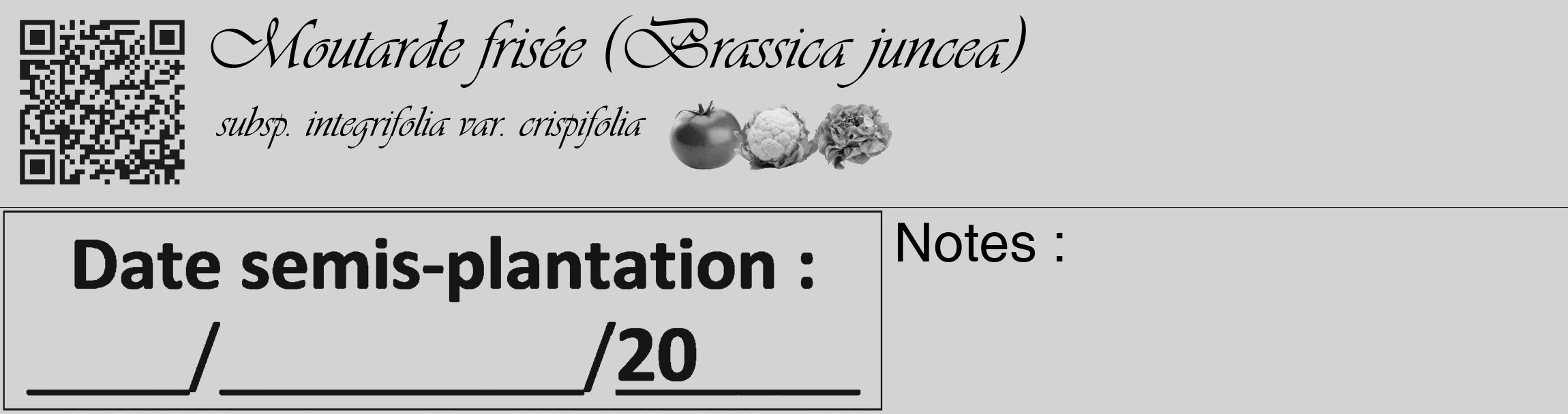 Étiquette de : Brassica juncea subsp. integrifolia var. crispifolia - format c - style noire56_basique_basiqueviv avec qrcode et comestibilité simplifiée