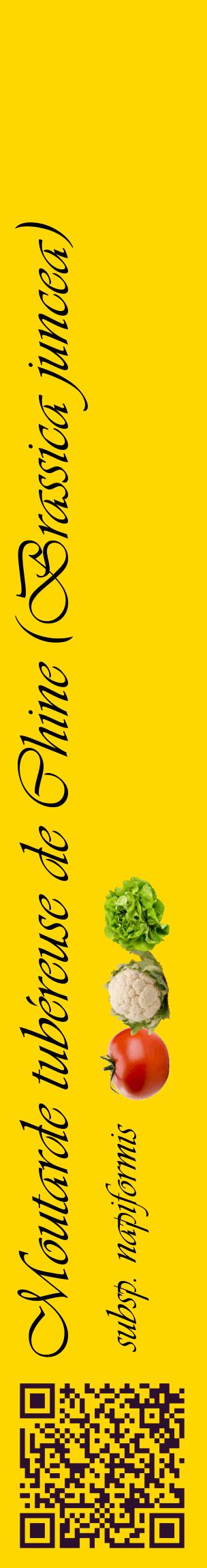 Étiquette de : Brassica juncea subsp. napiformis - format c - style noire21_basiqueviv avec qrcode et comestibilité simplifiée